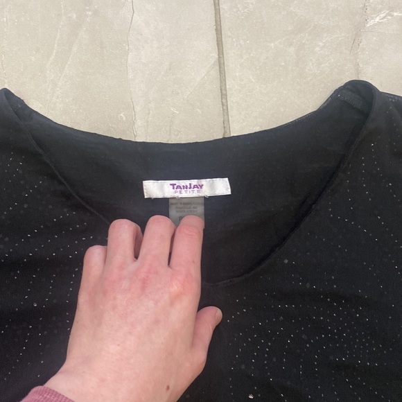 Tanjay Black Sheer With Silver Tone Embellishments - Picture 2 of 13